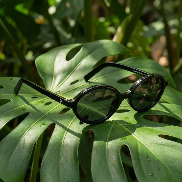 Lenses sun guapi island polarized bio-acetate black botanical composition monstera tropical biodegradable bonoboss #editorial_grid2 #color_negro