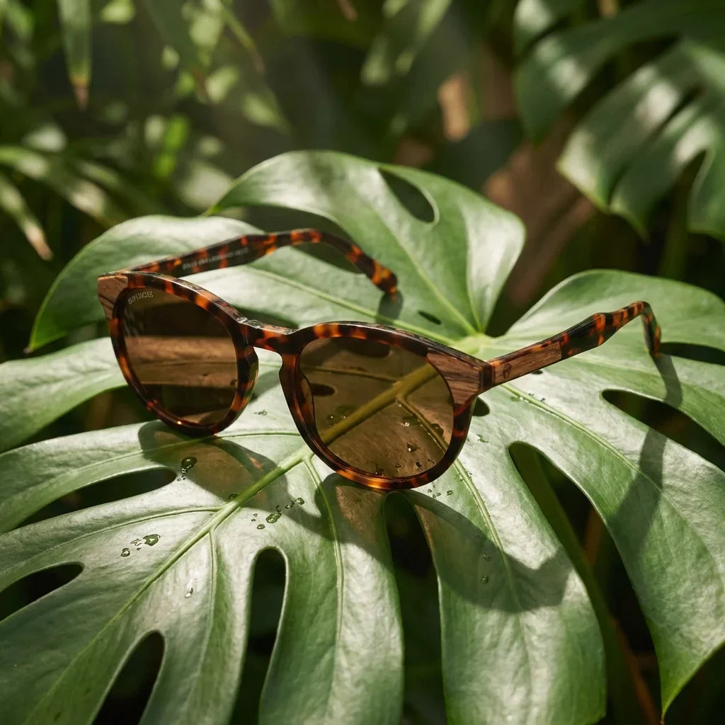 Lenses sun chiloe 0084 polarized bio-acetate tortoise botanical composition monstera tropical biodegradable bonoboss #editorial_grid2 #color_carey