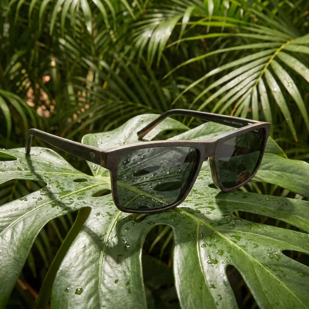Lenses sun keule polarized wood cacao botanical composition monstera tropical biodegradable bonoboss #editorial_grid2 #color_cacao