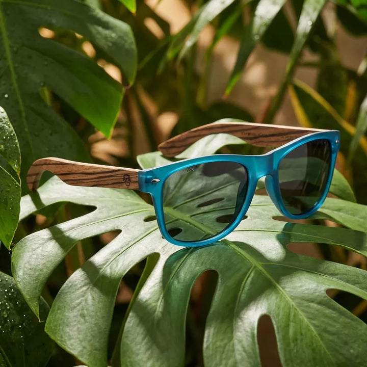 Lenses sun acacia polarized UV400 wood zebrawood ocean smoke botanical composition natural tropical monstera bonoboss #editorial_grid2 #color_ocean-smoke