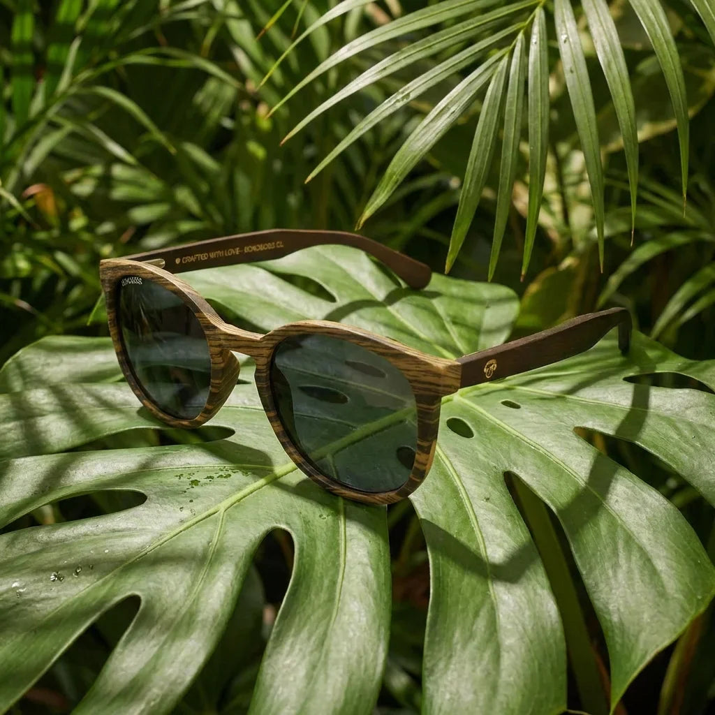 Lenses sun meli ebony polarized wood ebony polarized black botanical composition monstera tropical bonoboss #editorial_grid2 #color_negro