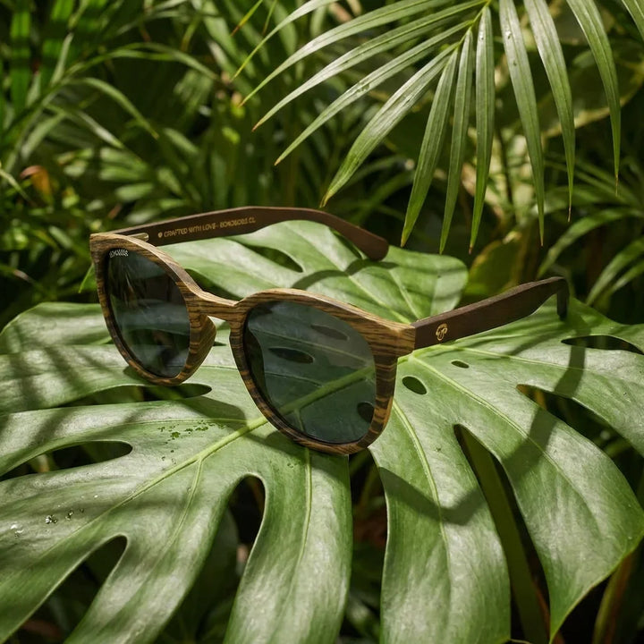 Lenses sun meli ebony polarized wood ebony polarized black botanical composition monstera tropical bonoboss #editorial_grid2 #color_negro
