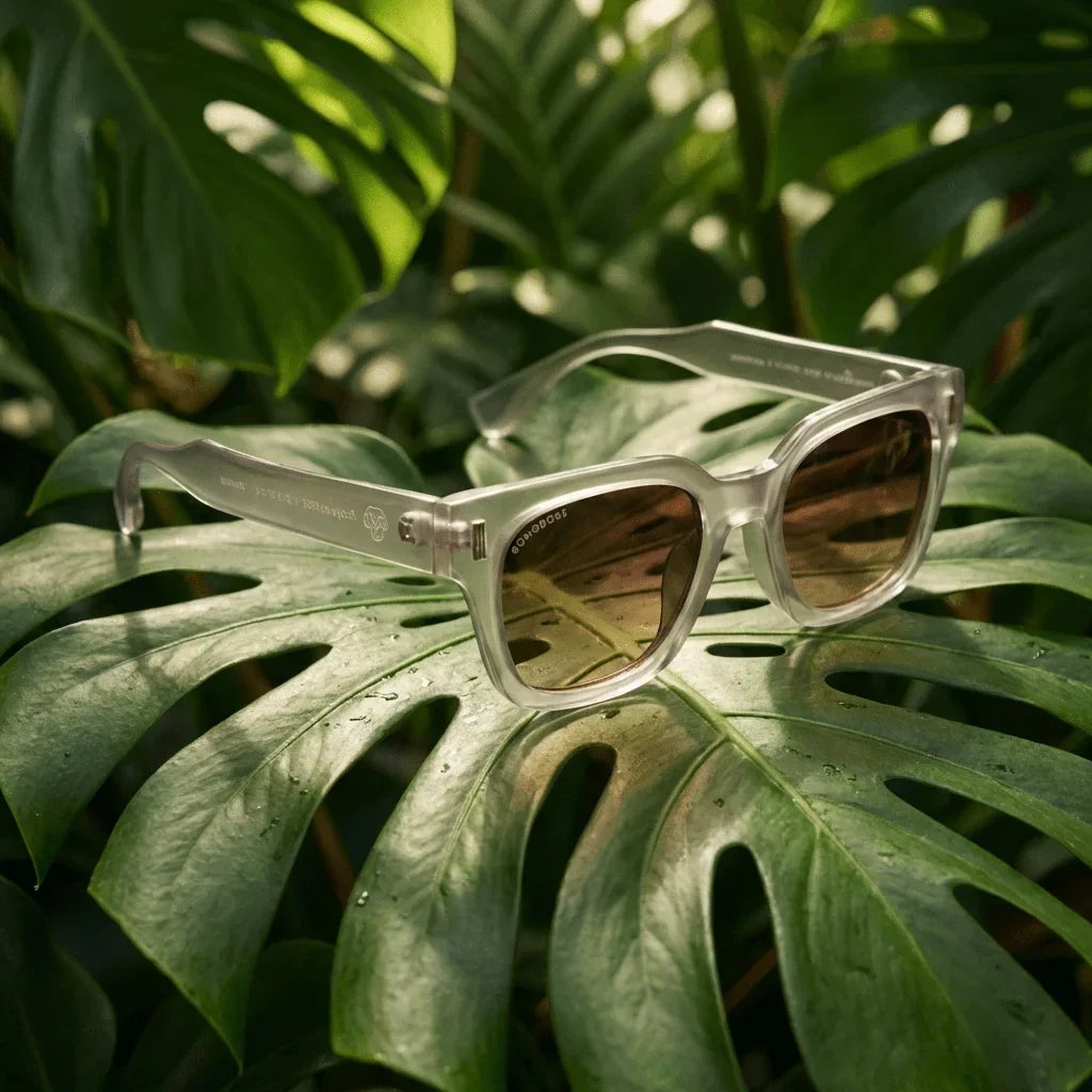 Lentes sol Osorno RPET polarizados reciclado transparente composicion botanica monstera tropical sustentable Bonoboss #editorial_grid2 #color_transparente