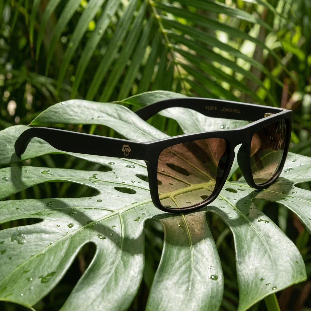 Lenses sun lautaro dark polarized acetate black botanical composition hoja monstera tropical bonoboss #editorial_grid2 #color_negro