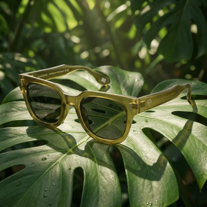 Lentes sol Osorno RPET polarizados reciclado olive composicion botanica monstera tropical tonos tierra Bonoboss #editorial_grid2 #color_olive