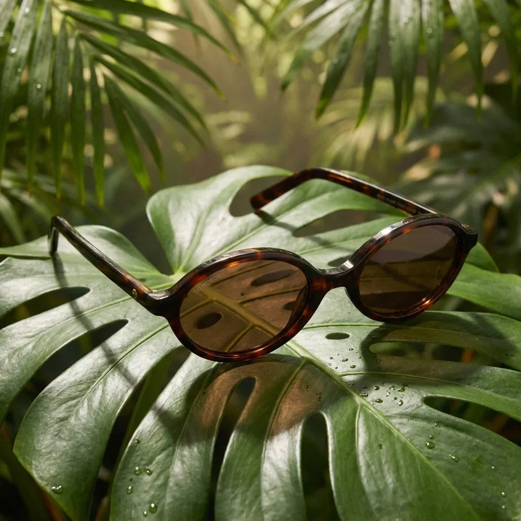 Lenses sun guapi island polarized bio-acetate tortoise botanical composition monstera tropical biodegradable bonoboss #editorial_grid2 #color_carey