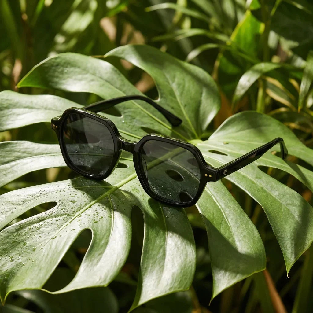 Lenses sun canarias polarized UV400 bio-acetate black botanical composition natural tropical monstera bonoboss #editorial_grid2 #color_negro