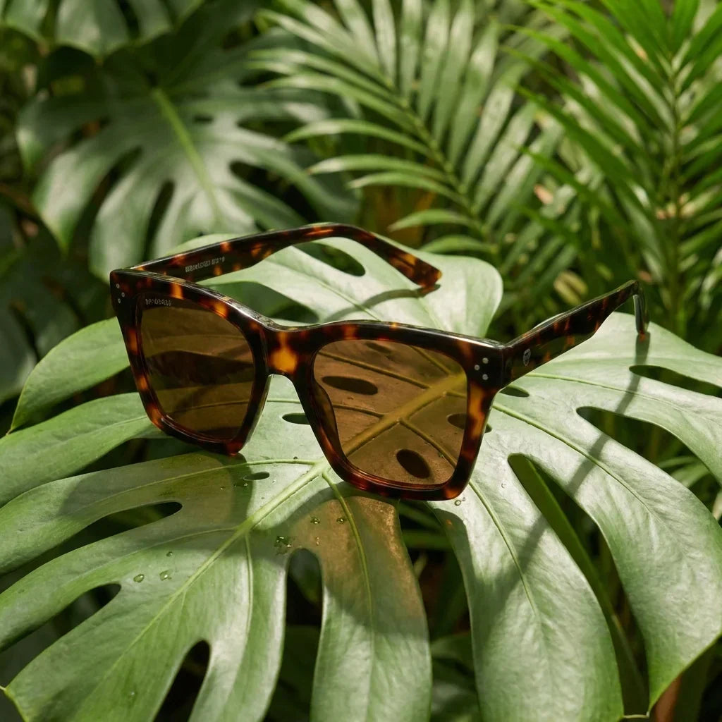 Lenses sun bruna retro polarized polarized tortoise botanical composition hoja monstera tropical bonoboss #editorial_grid2 #color_carey
