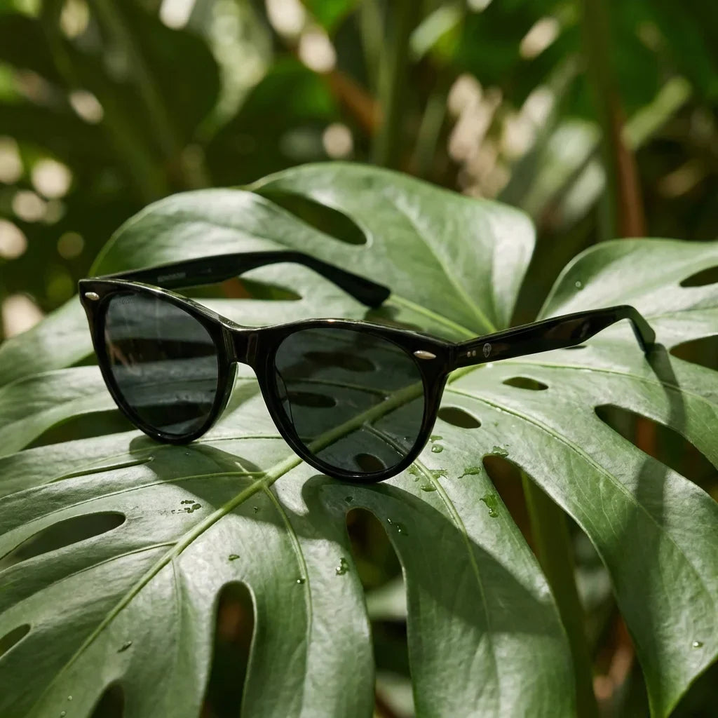 Lenses sun hanga roa polarized bio-acetate black botanical composition monstera tropical biodegradable bonoboss #editorial_grid2 #color_negro