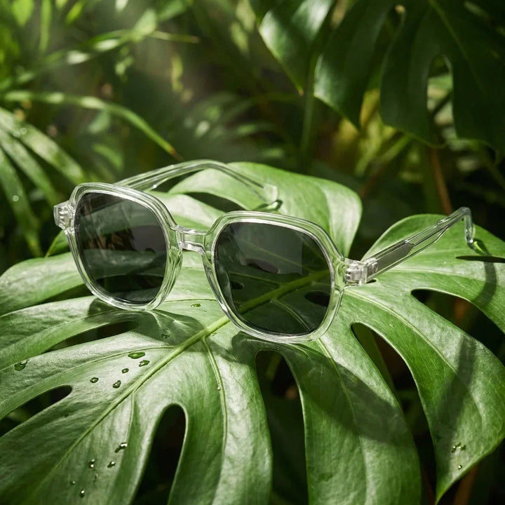 Lenses sun canarias polarized UV400 bio-acetate clear botanical composition natural tropical monstera bonoboss #editorial_grid2 #color_transparente