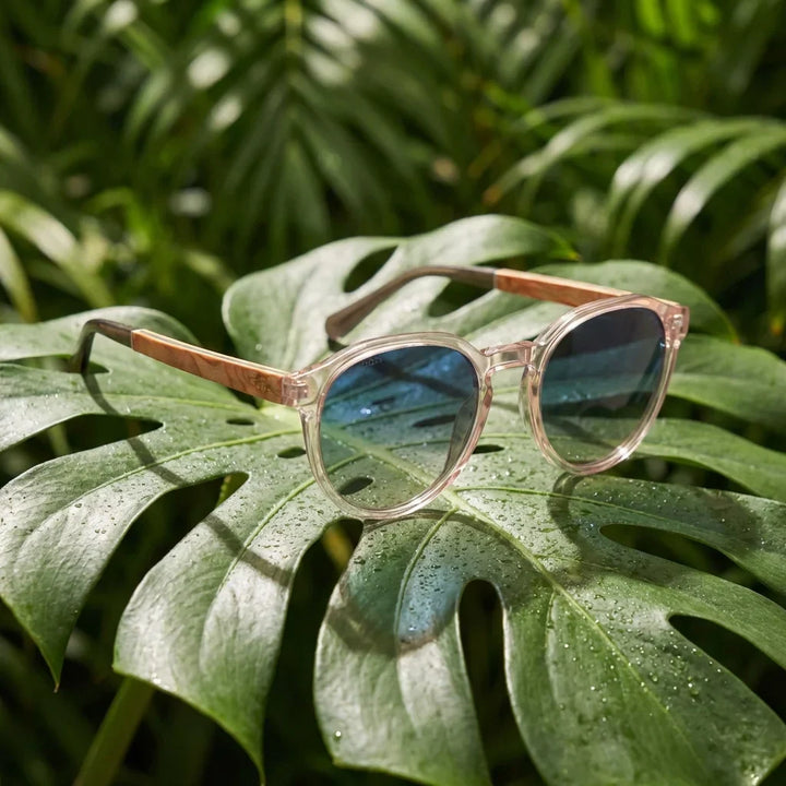 Lenses sun galapagos polarized UV400 wood nogal clear botanical composition natural tropical monstera bonoboss #editorial_grid2 #color_transparente