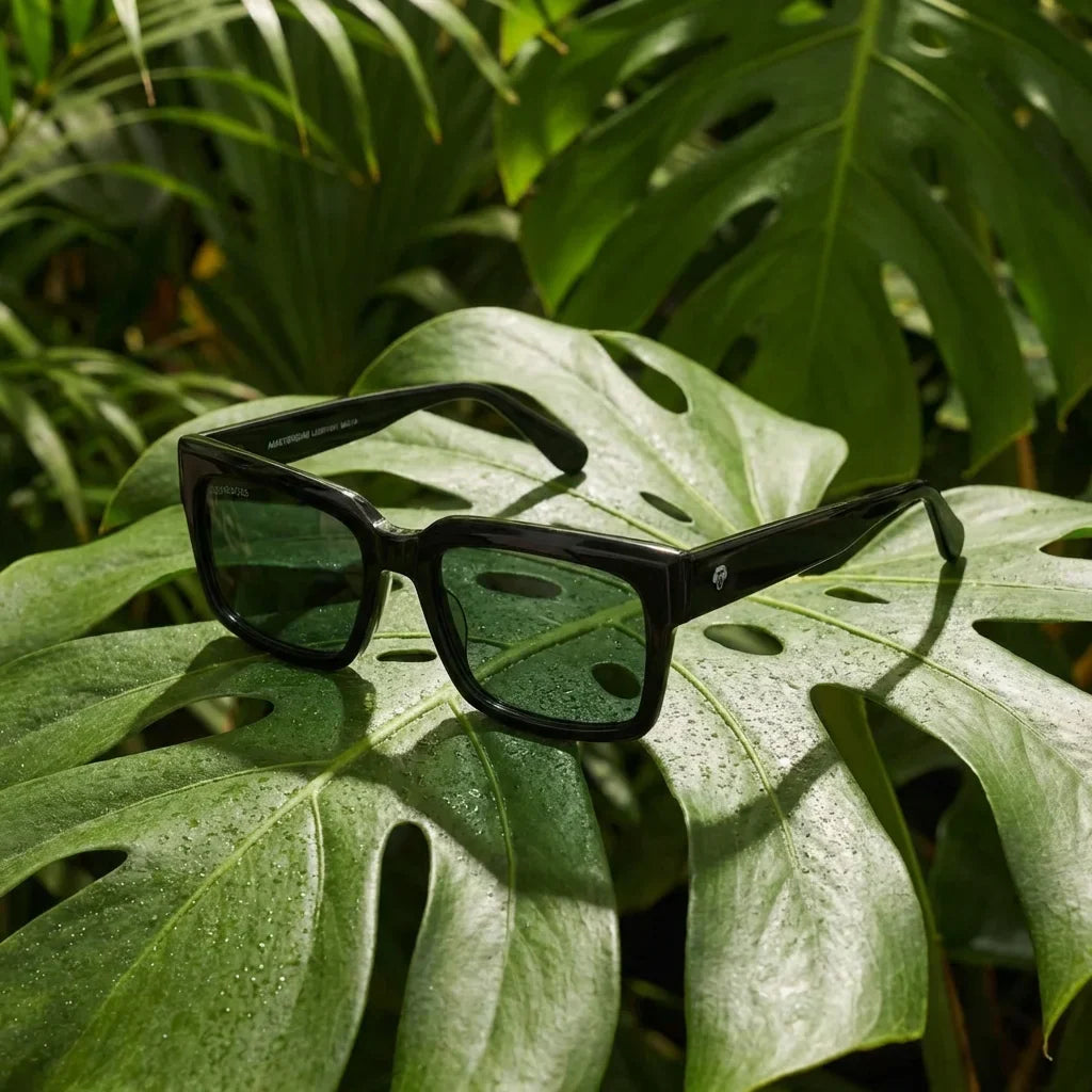 Lentes sol Amsterdam polarizados negro composicion botanica hoja monstera tropical Bonoboss #editorial_grid2 #color_negro