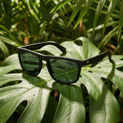 Lentes sol Lautaro Dark polarizados acetato G15 composicion botanica hoja monstera tropical Bonoboss #editorial_grid2 #color_g15