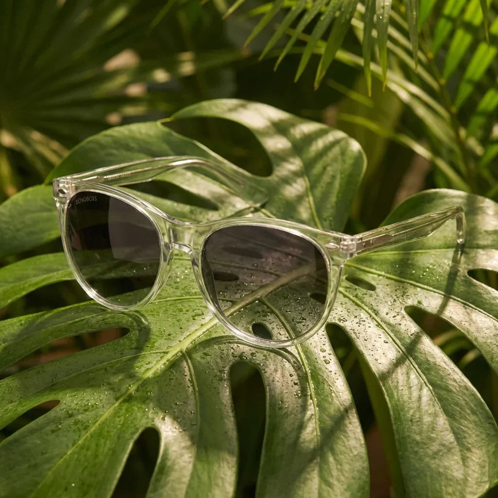 Lentes sol Hanga Roa polarizados bio-acetato transparente composicion botanica monstera tropical biodegradable Bonoboss #editorial_grid2 #color_transparente