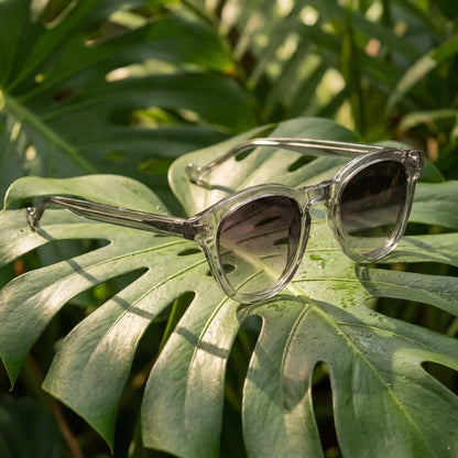 Lentes sol Lenga polarizados UV400 bio-acetato Gris composicion botanica monstera tropical natural Bonoboss #editorial_grid2 #color_gris