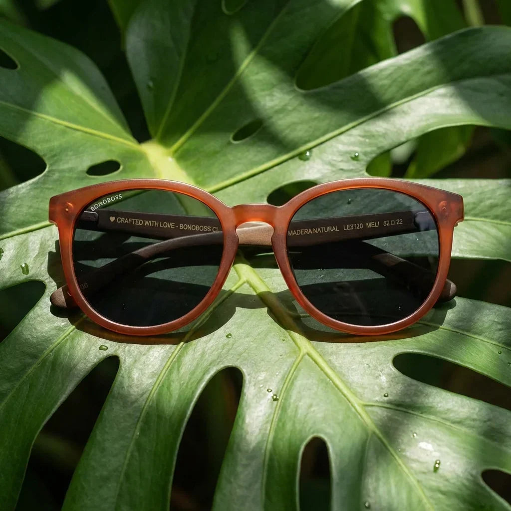 Lenses sun meli wine polarized wood wine polarized black botanical composition monstera tropical bonoboss #editorial_grid2 #color_negro