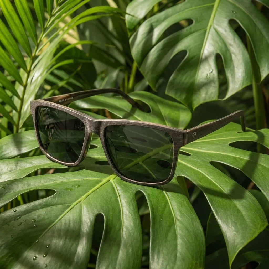 Lenses sun keule xl polarized wood cacao botanical composition monstera tropical biodegradable bonoboss #editorial_grid2 #color_cacao