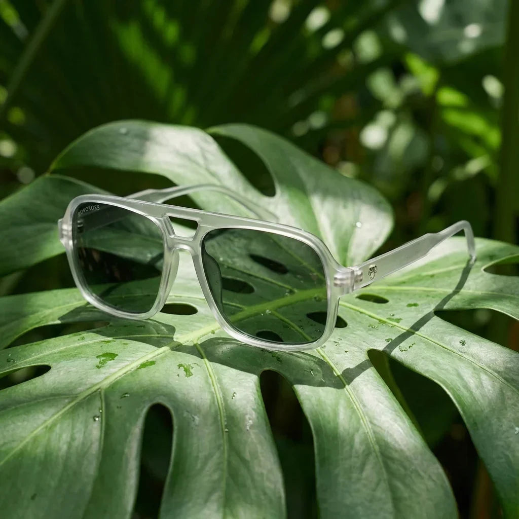 Lentes sol Orson RPET polarizados reciclado transparente composicion botanica monstera tropical sustentable Bonoboss #editorial_grid2 #color_transparente