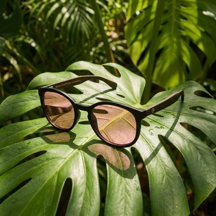 Lenses sun meli dark polarized bio-acetate gradient blue sobre driftwood gold reflejo lente bonoboss #editorial_detail1 #color_degrade-azul