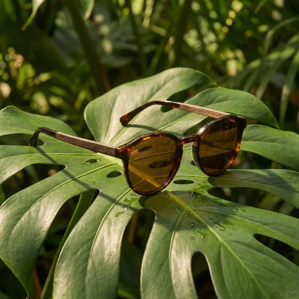 Lenses sun galapagos polarized UV400 wood nogal tortoise botanical composition natural tropical monstera bonoboss #editorial_grid2 #color_carey