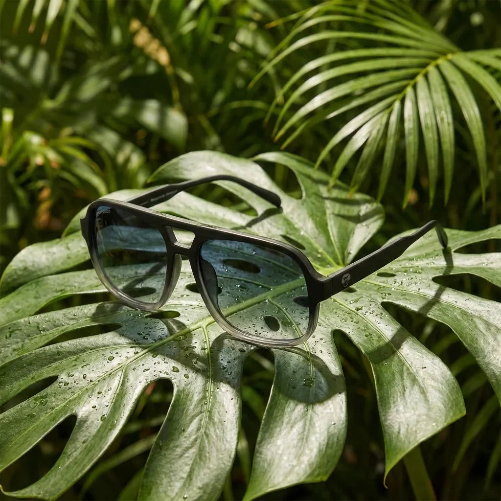 Lenses sun orson rpet polarized recycled black botanical composition monstera tropical material sustainable bonoboss #editorial_grid2 #color_negro
