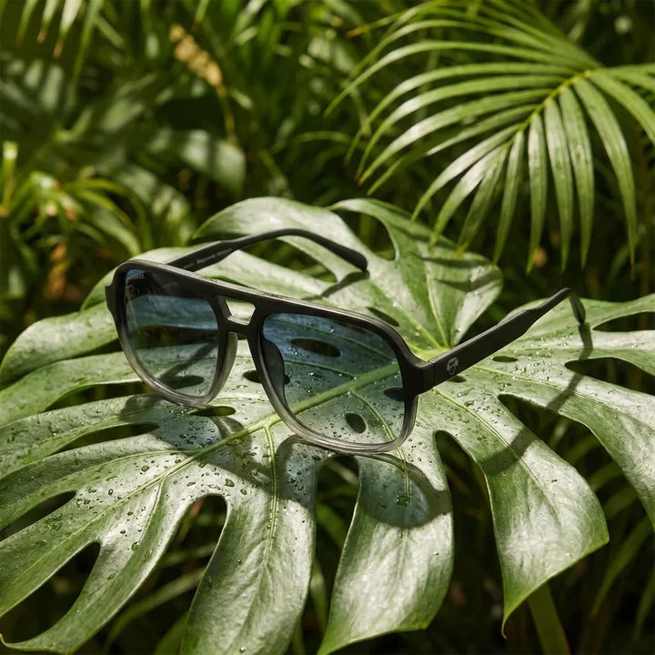 Lenses sun orson rpet polarized recycled black botanical composition monstera tropical material sustainable bonoboss #editorial_grid2 #color_negro