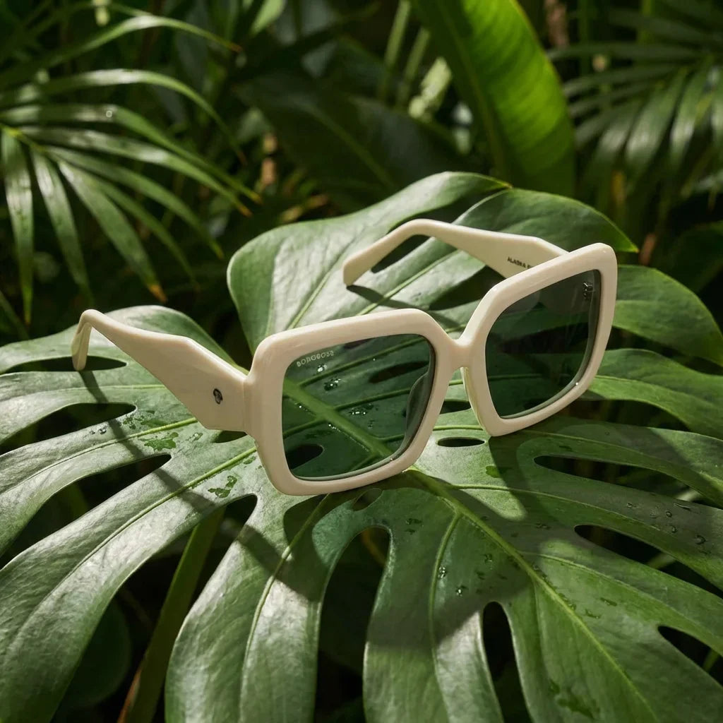 Lenses sun alaska polarized white botanical composition hoja monstera tropical bonoboss #editorial_grid2 #color_blanco