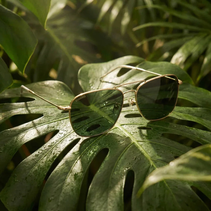 Lenses sun commander reverse polarized metal g15 botanical composition hoja monstera tropical bonoboss #editorial_grid2 #color_g15