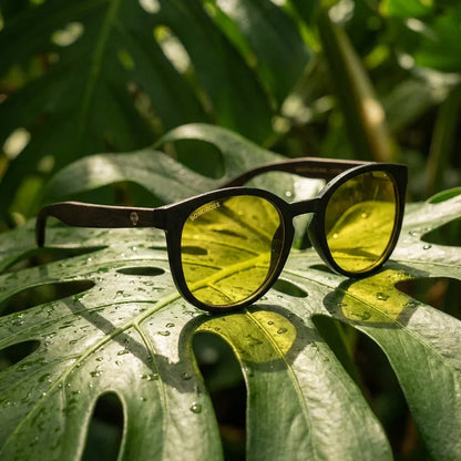 Lentes sol Meli Dark polarizados bio-acetato Amarillo composicion botanica monstera tropical Bonoboss #editorial_grid2 #color_amarillo