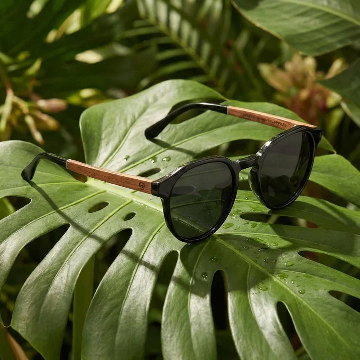 Lenses sun galapagos polarized UV400 wood nogal black botanical composition natural tropical monstera bonoboss #editorial_grid2 #color_negro