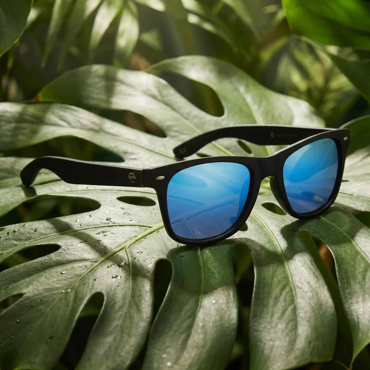 Lenses sun acacia dark polarized wood acacia sky botanical composition monstera tropical sustainable bonoboss #editorial_grid2 #color_sky