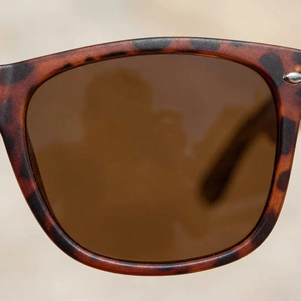 Lentes sol Acacia polarizados UV400 madera zebrano Carey Brown detalle lente coating espejado precision optica Bonoboss #editorial_detail1 #color_carey-brown