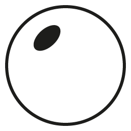 Traditional Bifocal (With Wafer)