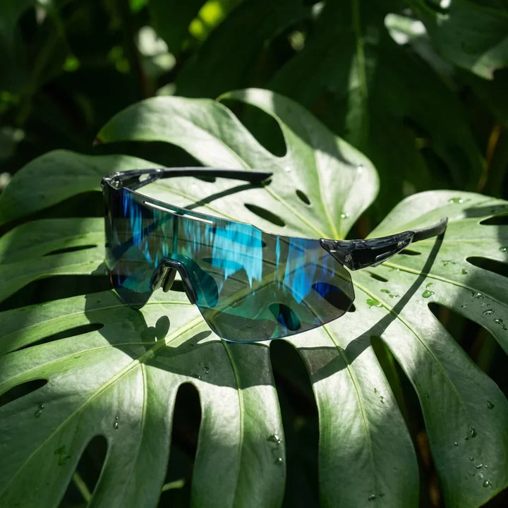 Lenses sun snake polarized bio-acetate biodegradable cat eye blue sobre hoja monstera botanica tropical bonoboss #editorial_grid2 #color_blue