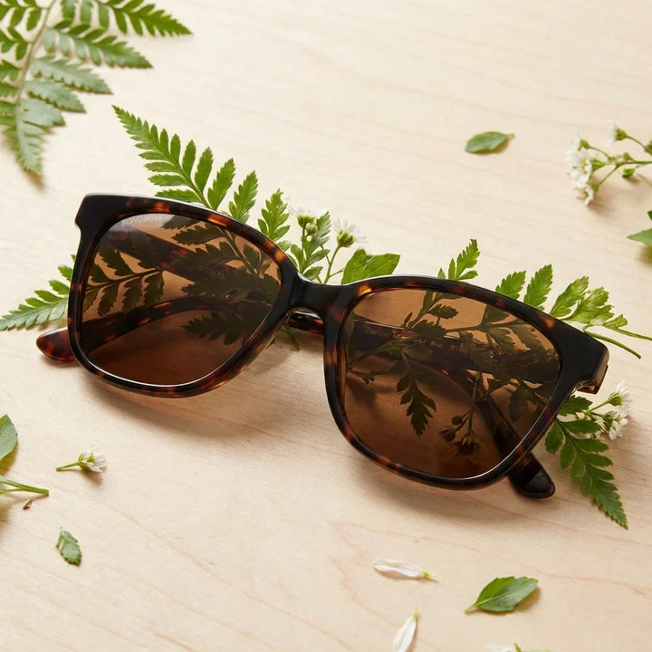 Lenses sun tiare polarized bio-acetate cat eye tortoise entre hojas botanicas lens detail tropical bonoboss #editorial_grid2 #color_carey
