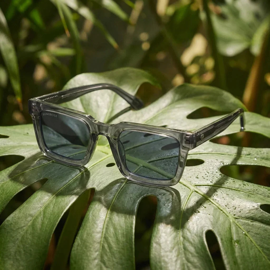 Lentes sol Tokyo polarizados bio-acetato square transparente gris entre hojas tropicales botanico fresco Bonoboss #editorial_grid2 #color_transparente-gris