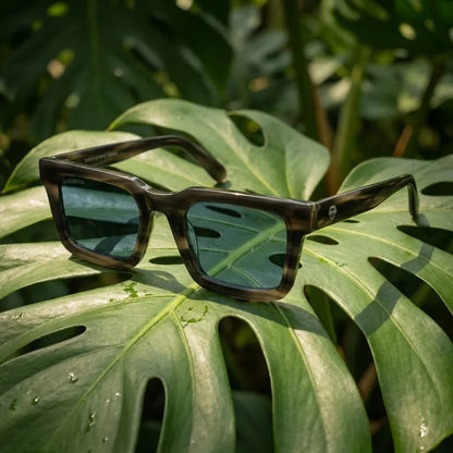 Lentes sol Tokyo polarizados bio-acetato square stained sobre hojas tropicales botanico frescura natural Bonoboss #editorial_grid2 #color_stained