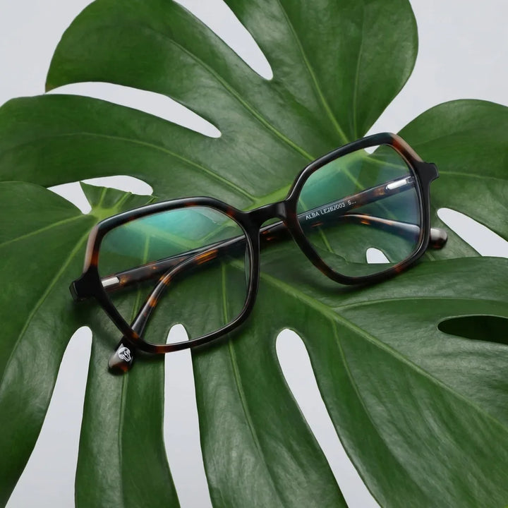 Lenses optical alba tortoise entre hojas botánicas naturales diseño sustainable bonoboss #editorial_sustentabilidad #color_carey