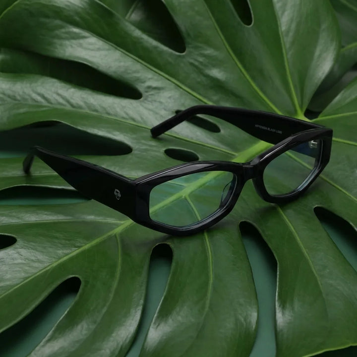 Lenses optical artemisa black entre hojas botánicas naturales diseño sustainable bonoboss #editorial_sustentabilidad #color_negro