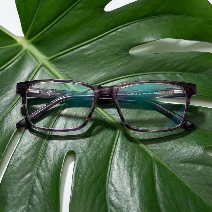 Lenses optical canelillo purple entre hojas botánicas naturales diseño sustainable bonoboss #editorial_sustentabilidad #color_morado