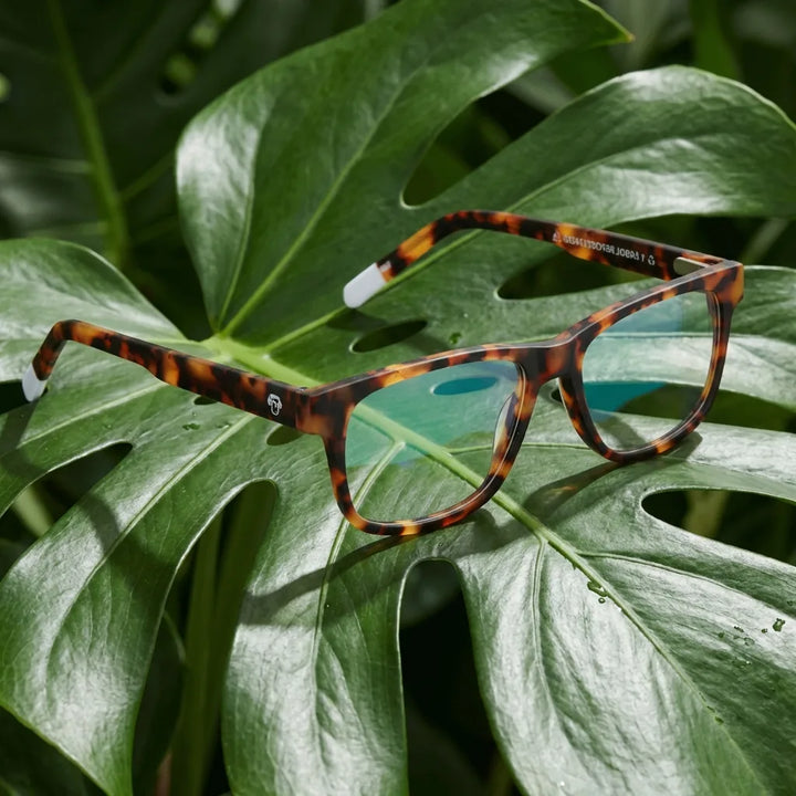 Lenses optical canelo tortoise entre hojas botánicas naturales diseño sustainable bonoboss #editorial_sustentabilidad #color_carey