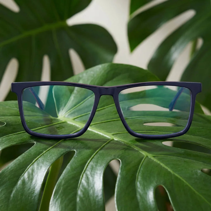 Lenses optical condor blue entre hojas botánicas naturales diseño sustainable bonoboss #editorial_sustentabilidad #color_azul