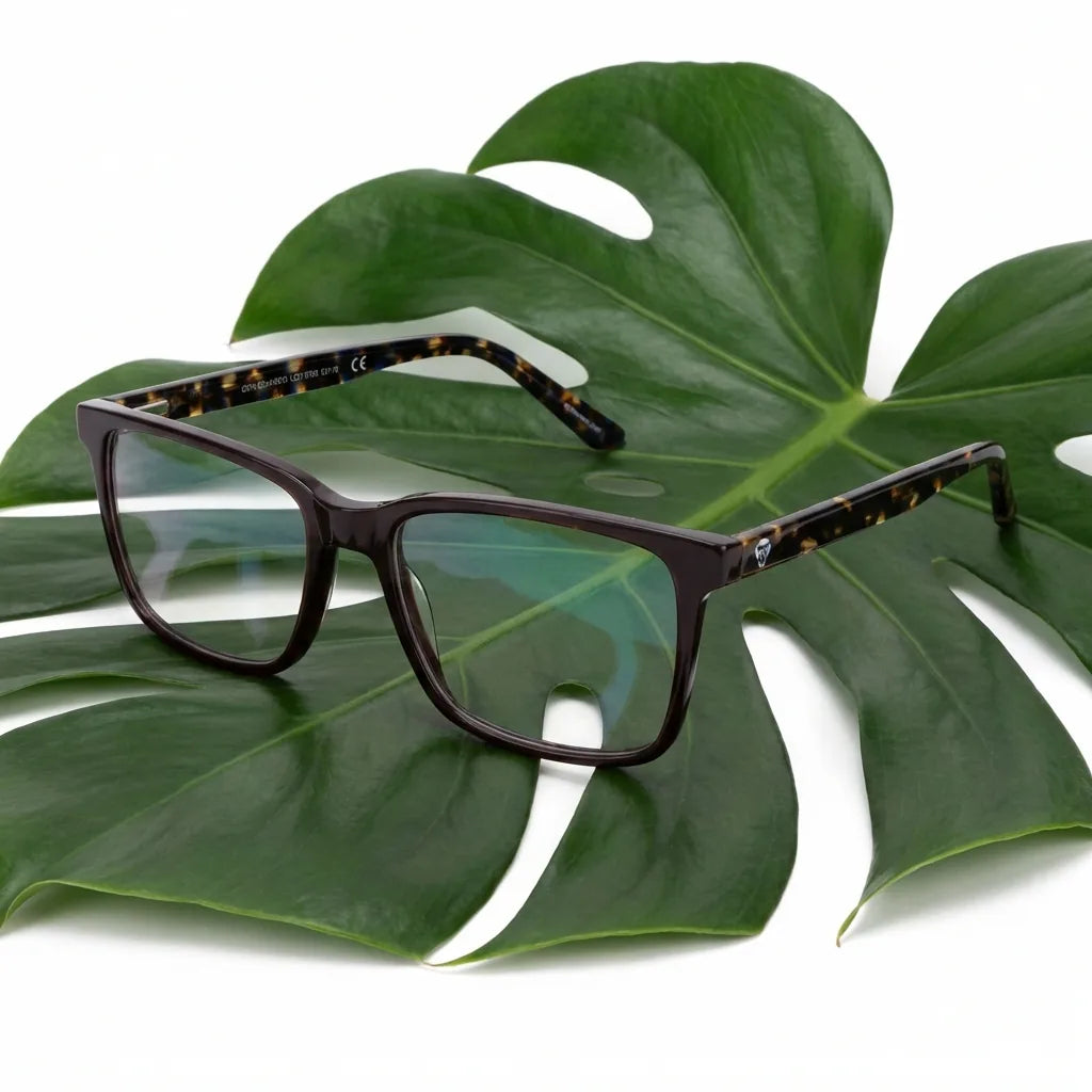 Lenses optical don eduardo brown entre hojas botánicas naturales diseño sustainable bonoboss #editorial_sustentabilidad #color_brown