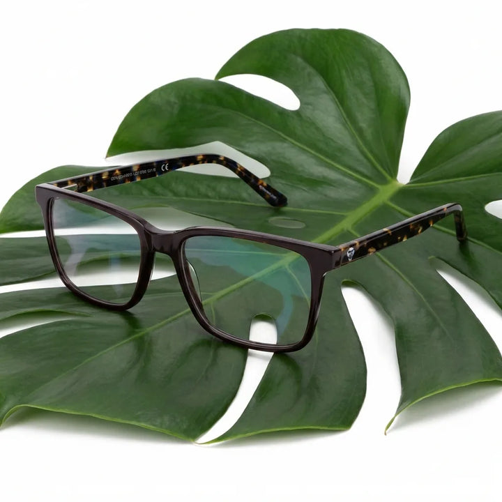 Lenses optical don eduardo brown entre hojas botánicas naturales diseño sustainable bonoboss #editorial_sustentabilidad #color_brown