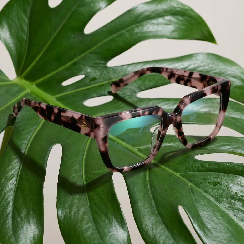 Lenses optical kai kai marble entre hojas botánicas naturales diseño sustainable bonoboss #editorial_sustentabilidad #color_marble