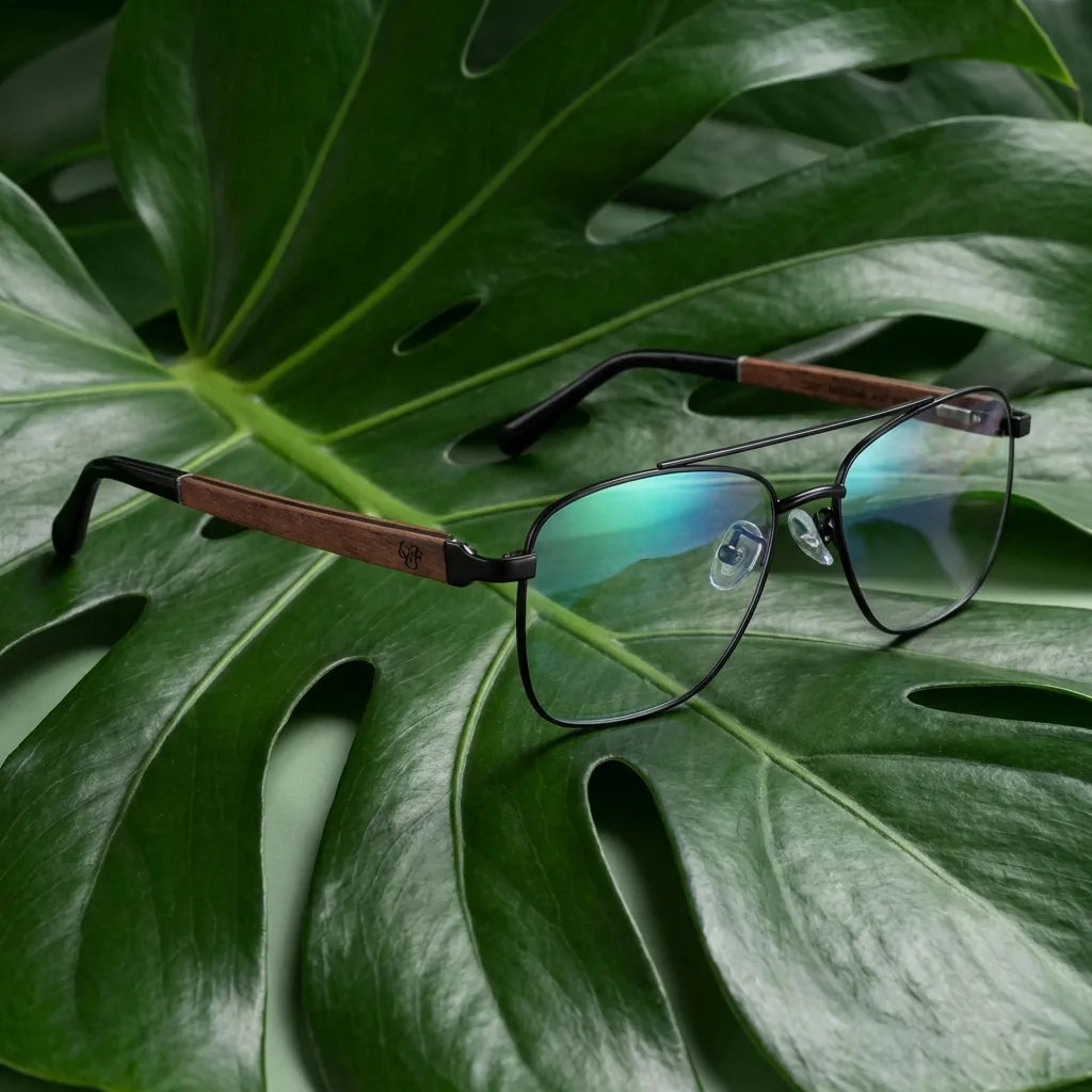 Lenses optical tito black entre hojas botánicas naturales diseño sustainable bonoboss #editorial_sustentabilidad #color_negro