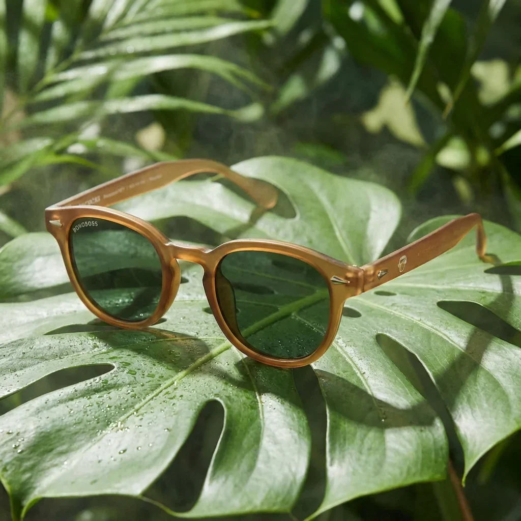 Lentes sol Waimea polarizados RPET reciclado del oceano brown sobre hoja monstera tropical naturaleza Bonoboss #editorial_grid2 #color_brown