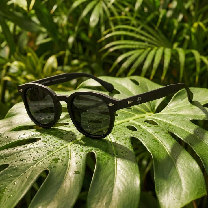 Lenses sun waimea polarized rpet recycled of the oceano dark sky sobre hoja natural tropical monsteraeza bonoboss #editorial_grid2 #color_espejado-azul